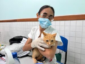 Atendimento com os melhores na praça do areal