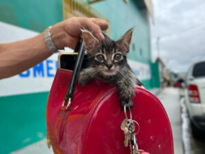 Agendamento o mais breve possível