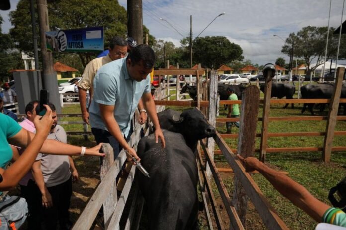 wilson_lima_febre_governo_federal