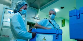 Fonte: Ministério da Saúde