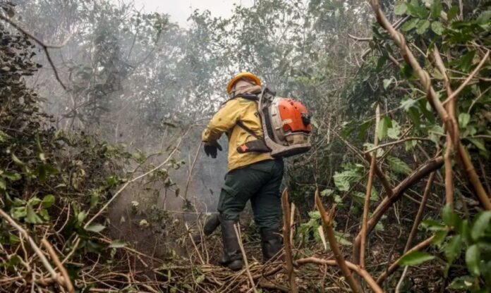 incendios-brasil
