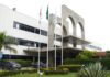 Câmara Municipal de Manaus garante política de garantias às pessoas com albinismo
