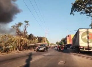 Princípio de incêndio atinge vegetação no Parque Mauá em Manaus