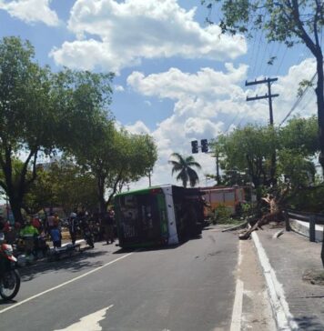 Ônibus tomba após bater contra árvore no São Jorge em Manaus